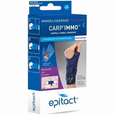 Epitact Carp Immo links medium