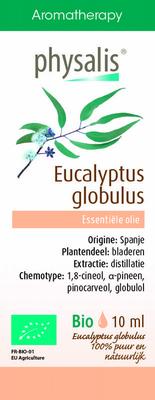 Physalis Eucalyptus globulus bio
