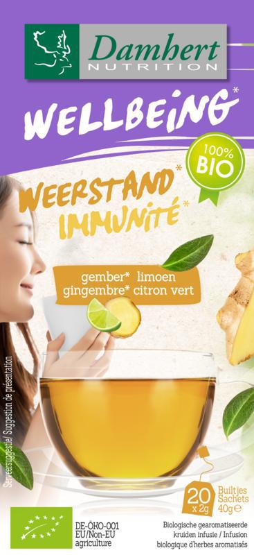 Tea time gember limoenthee bio