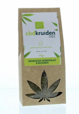 Health4you CBD Thee 1.6% CBD bio