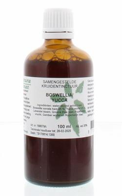 Natura Sanat Boswellia / yucca complex tinctuur