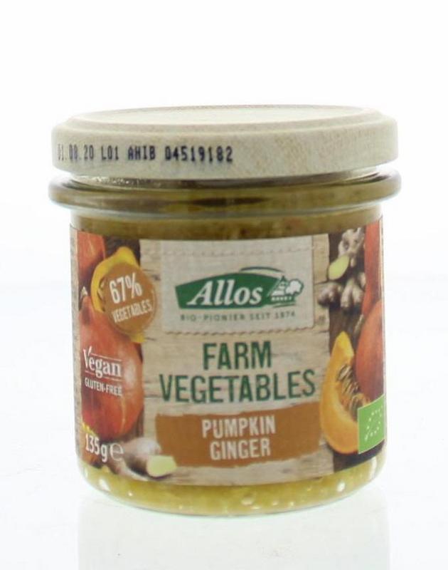 Farm vegetables pompoen & gember bio