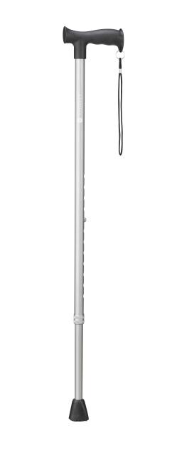 Wandelstok grijs