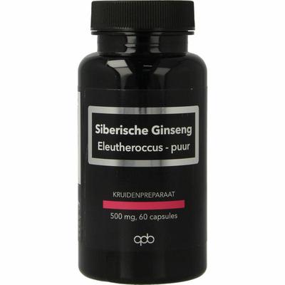 APB Holland Siberische ginseng extract puur forte 500mg