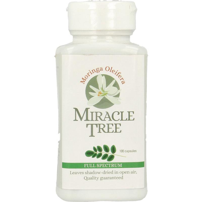 Moringa oleifera