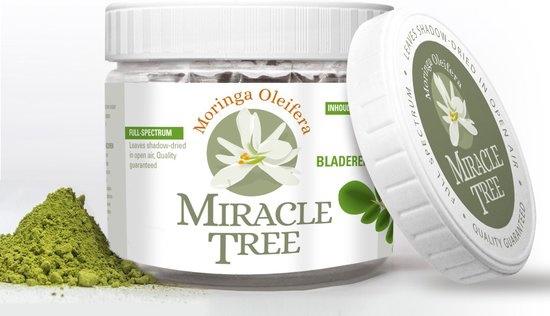 Moringa leifera poeder