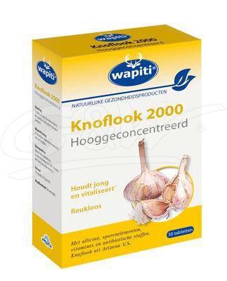 Knoflook 2000