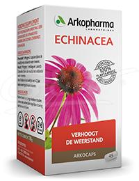 Echinacea bio