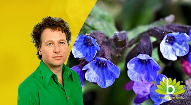 Wat kan Mesologie voor u betekenen?