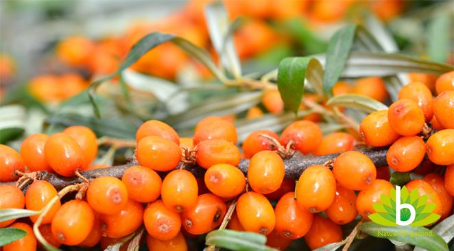 Omega-7: Goed voor je huid én ogen