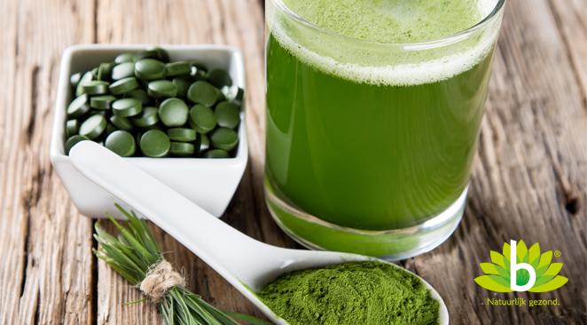 Spirulina: de ideale aanvulling op je eetpatroon