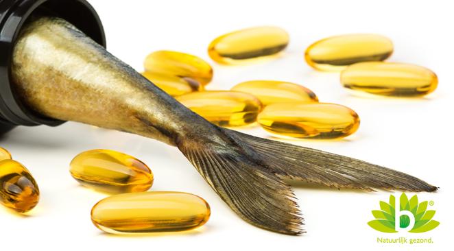 Visolie: barstensvol gezonde omega-3 vetzuren
