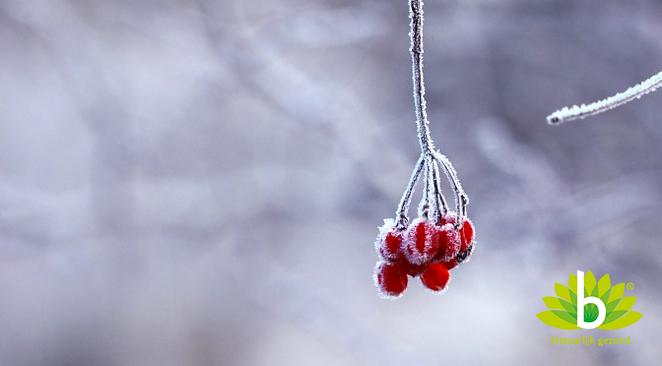 Helga Holthuizen: We gaan de winter weer in